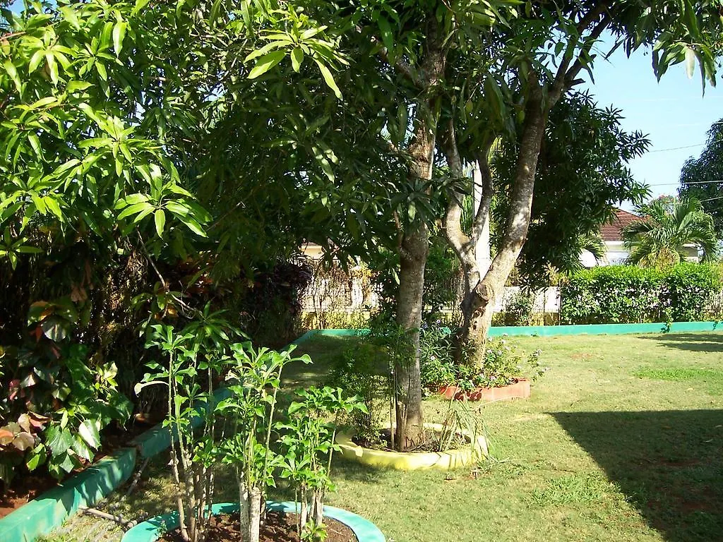 أوشو ريوس Almond Tree Villa & Apartments 0*, أوشو ريوس